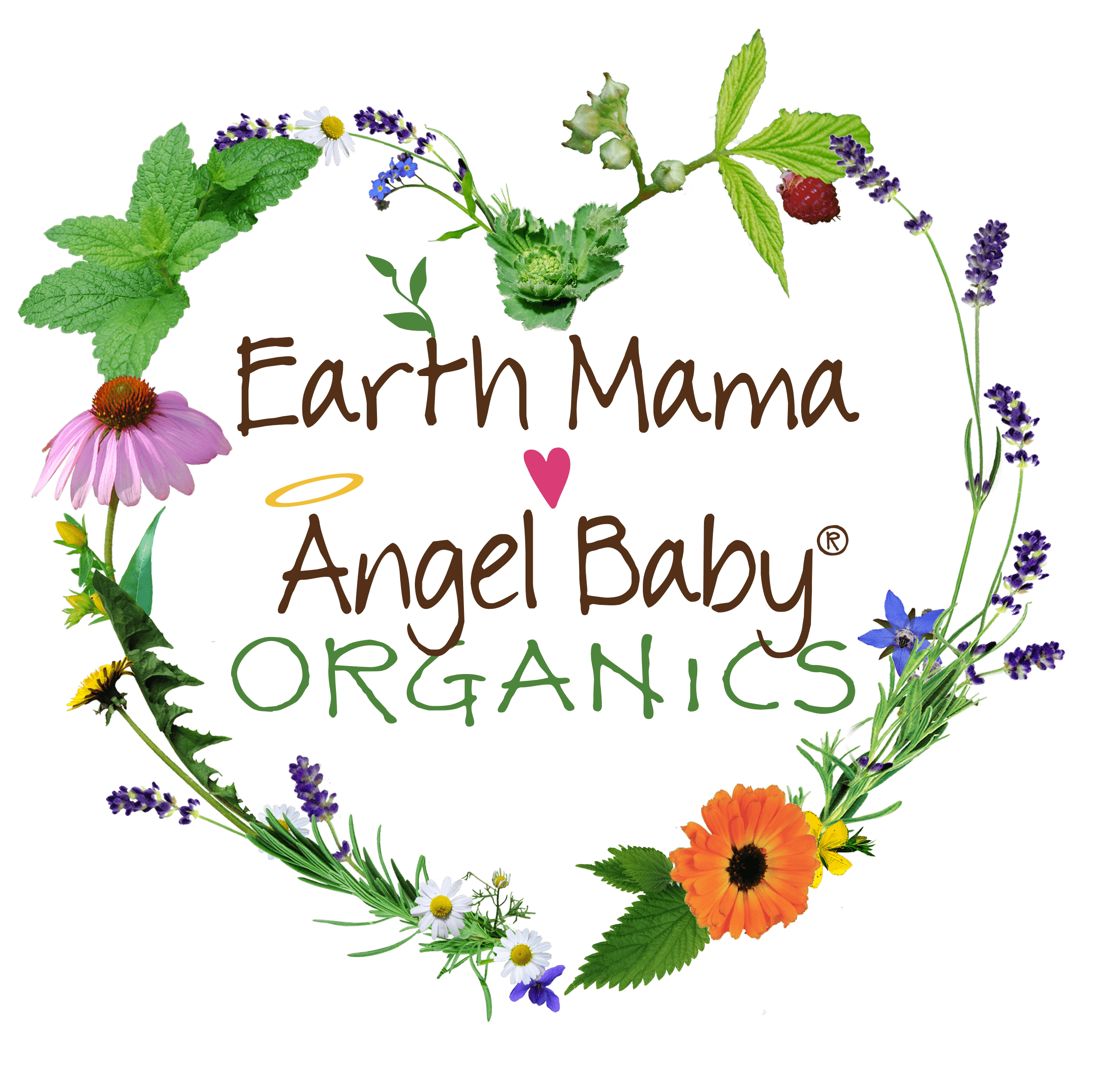 Earth Mama Angel Baby. as a sponsor for ShiftCon 2015! 